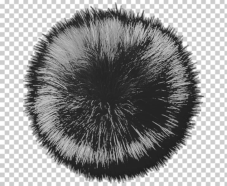 Fur Snout White Black M PNG, Clipart, Black, Black And White, Black M, Circle, Fur Free PNG Download