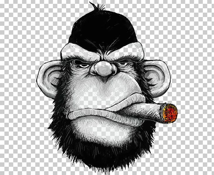 T-shirt Hoodie Cigar Monkey Iron-on PNG, Clipart, Animals, Art, Black Board, Black Friday, Black Hair Free PNG Download