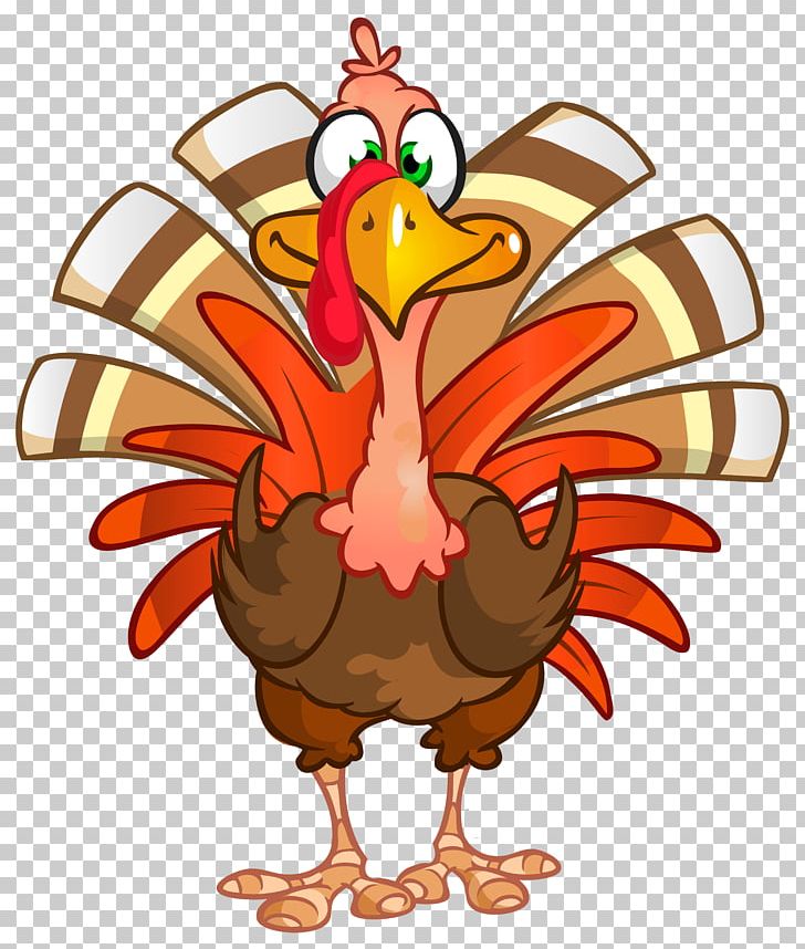 Turkey Thanksgiving Dinner PNG, Clipart, Beak, Bird, Cartoon, Chicken, Clip Art Free PNG Download