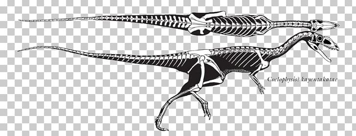 Velociraptor Tyrannosaurus Plateosaurus Staurikosaurus Eoraptor Lunensis PNG, Clipart, Animal Figure, Artwork, Black And White, Ceratosaurus, Chindesaurus Free PNG Download