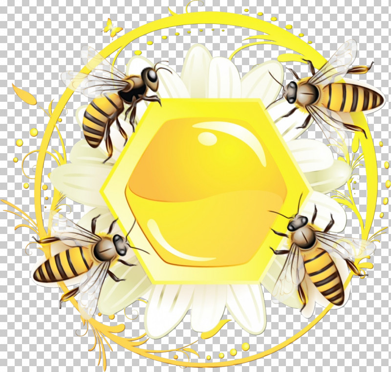 Insects Hornets Pollinator Honey Bee Bees PNG, Clipart, Beekeeper, Bees, Flower, Honey, Honey Bee Free PNG Download