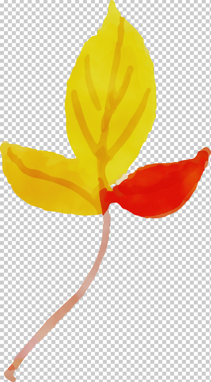 Plant Stem Petal Leaf Yellow Flower PNG, Clipart, Biology, Colorful Leaf, Flower, Leaf, Paint Free PNG Download