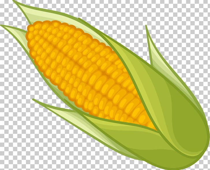 Corn On The Cob Maize Sweet Corn PNG, Clipart, Commodity, Corn, Corncob, Corn On The Cob, Download Free PNG Download