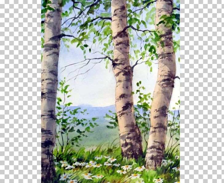 Birch The Starry Night Watercolor Painting Oil Paint PNG, Clipart, Acrylic Paint, Art, Artist, Art Museum, Birch Free PNG Download