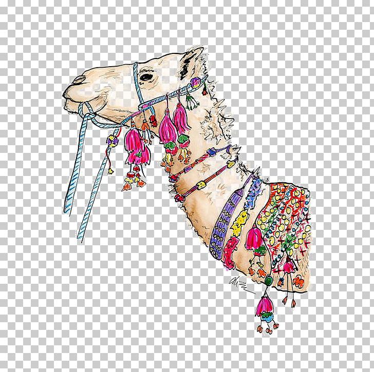 Camel White Box Drawing Illustration PNG, Clipart, Animals, Art, Cam, Camel Cartoon, Camel Color Free PNG Download
