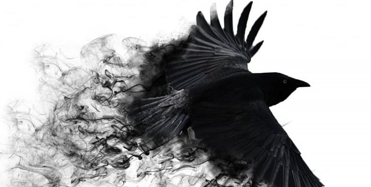 Common Raven Bird 4K Resolution Black And White PNG, Clipart, 4k Resolution, Beak, Bird Of Prey, Black, Black Drongo Free PNG Download