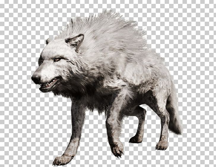 Far Cry Primal PlayStation 4 Gray Wolf Far Cry 4 PNG, Clipart, Bear, Canis Lupus Tundrarum, Carnivoran, Cave Wolf, Dire Wolf Free PNG Download