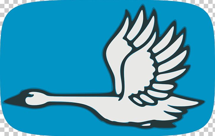 Flight Black Swan Trumpeter Swan Bird PNG, Clipart, Animals, Animation, Artwork, Beak, Bird Free PNG Download