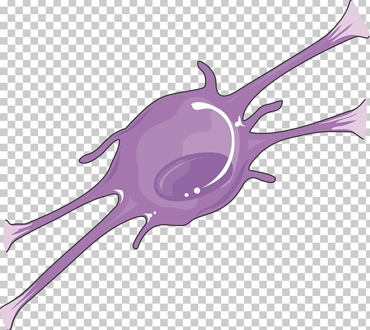 Oligodendrocyte Servier Medical Agy Neuron PNG, Clipart, Agy, Art, Brain, Cell, Central Nervous System Free PNG Download