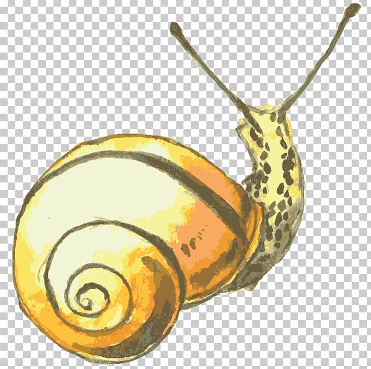 Snail Orthogastropoda PNG, Clipart, Animals, Cartoon, Computer Network, Download, Hand Free PNG Download