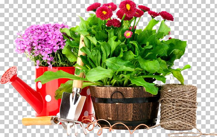 Terrace Garden Garden Tool Desktop Gardening PNG, Clipart, Annual Plant, Cut Flowers, Diet Food, Floral Design, Floristry Free PNG Download