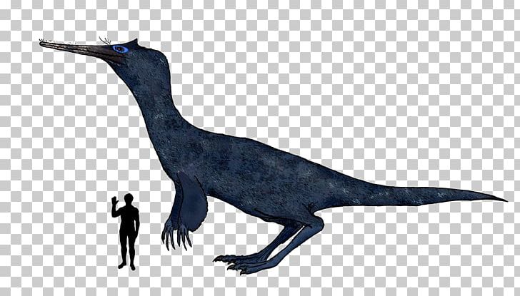 Velociraptor Dinosaur Ornithomimosauria Therizinosaur Oviraptoridae PNG, Clipart, Animal Figure, Beak, Bird, Dinosaur, Extinction Free PNG Download