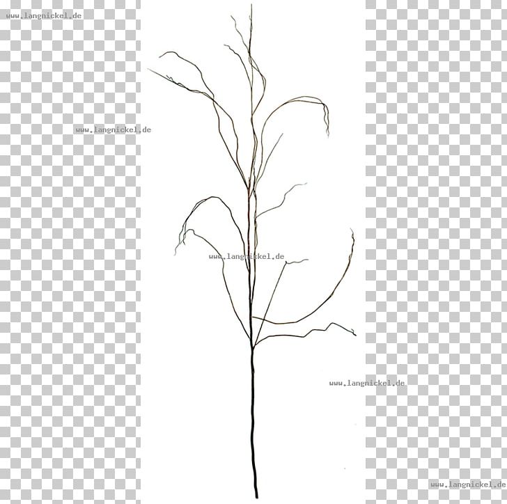 Grasses Drawing Plant Stem /m/02csf PNG, Clipart, Angle, Art, Black And White, Branch, Drawing Free PNG Download