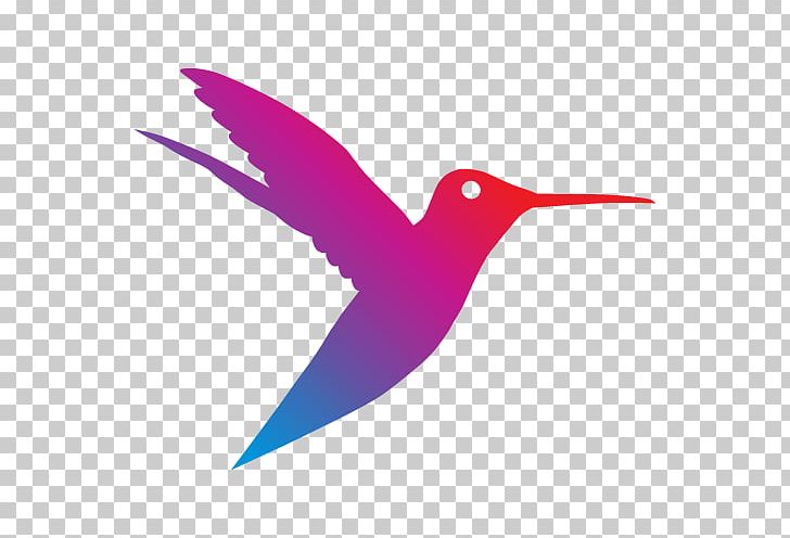 Hummingbird Microphone Sennheiser Desktop Animal PNG, Clipart, Animal, Audio, Beak, Bird, Cuteness Free PNG Download