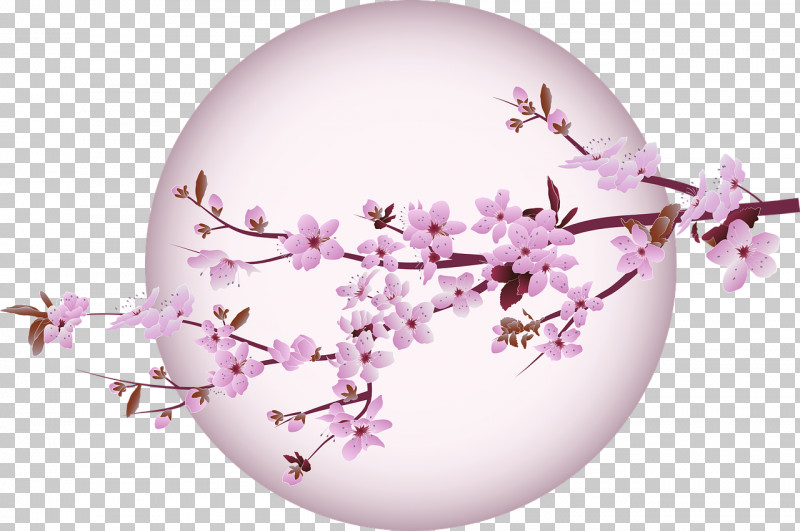 Cherry Blossom PNG, Clipart, Cherry, Cherry Blossom, Stau150 Minvuncnr Ad Free PNG Download