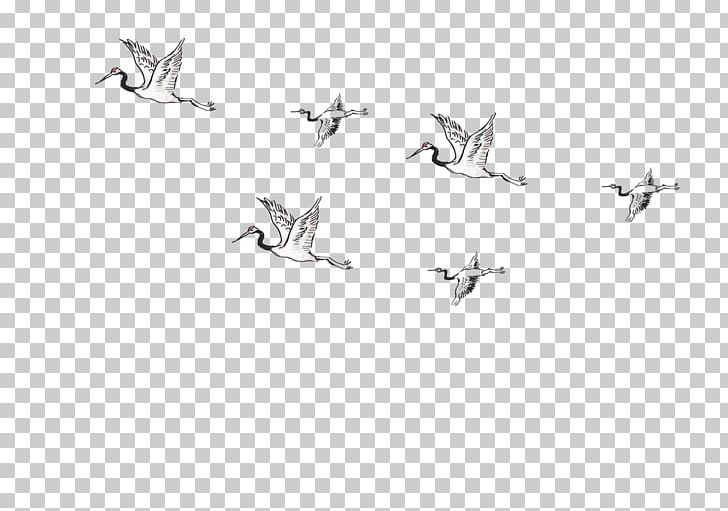 Hummingbird Flight PNG, Clipart, Adobe Illustrator, Angle, Animals, Area, Bird Free PNG Download