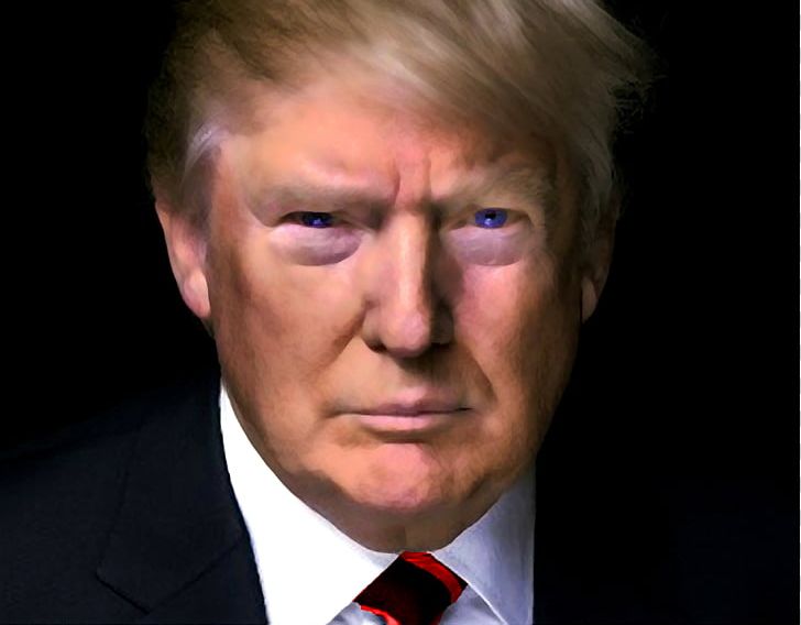 Donald Trump White House President Of The United States Democratic Party Electoral College PNG, Clipart, Bill Clinton, Celebrities, Cheek, Entrepreneur, Eye Free PNG Download