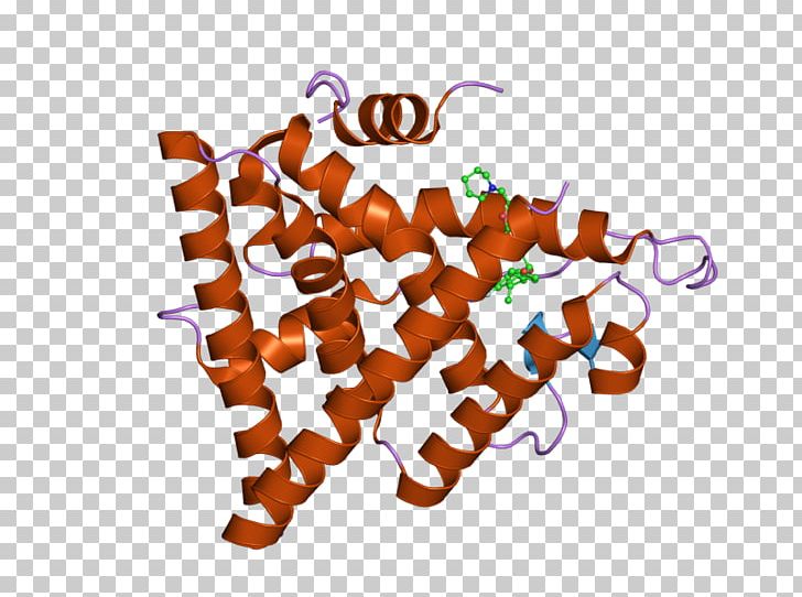 Estrogen Receptor Alpha Nuclear Receptor NRIP1 PNG, Clipart, 3 F, Compound, Dnabinding Domain, Estrogen, Estrogen Receptor Free PNG Download