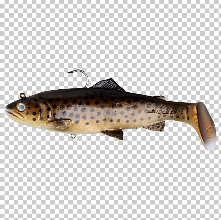 Fishing Baits & Lures Brown Trout Fishing Tackle PNG, Clipart, 3d Computer Graphics, 3d Modeling, 3d Scanner, Angling, Bony Fish Free PNG Download