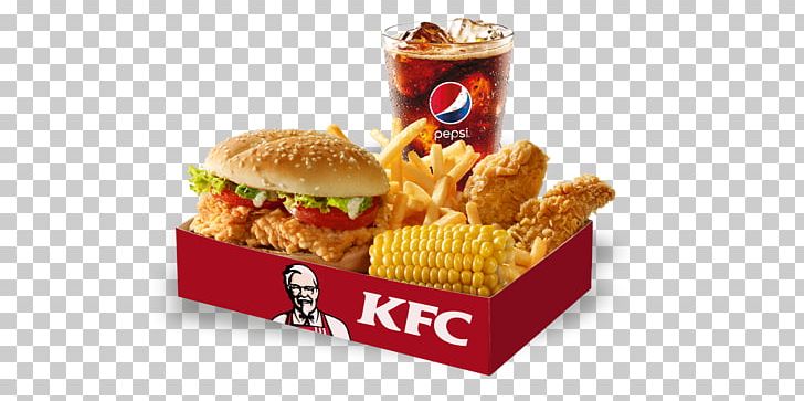 KFC Fast Food French Fries Coleslaw Buffalo Wing PNG, Clipart, Buffalo Wing, Chicken Meat, Coleslaw, Dish, Fast Food Free PNG Download