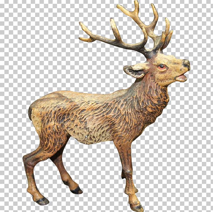 Musk Deer Elk Reindeer Antler PNG, Clipart, Animal, Animals, Antler, Deer, Elk Free PNG Download