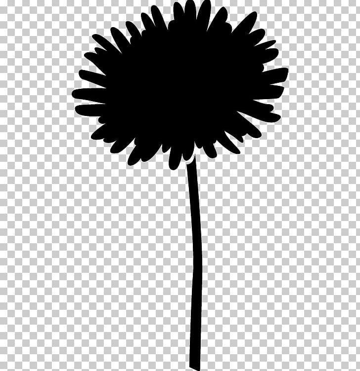 Stencil Silhouette Flower Art PNG, Clipart, Animals, Arecales, Art, Black And White, Blume Free PNG Download