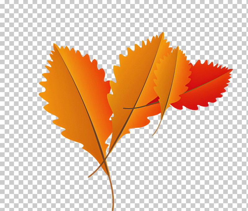 Drawing Motion Graphics Watercolor Painting Computer Gear PNG, Clipart, Autumn Leaf, Cartoon Leaf, Computer, Drawing, Fall Leaf Free PNG Download