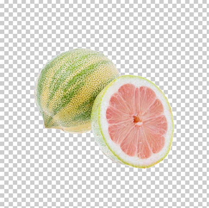 Grapefruit Key Lime Variegated Pink Lemon Lemonade PNG, Clipart, Animals, Auglis, Citric Acid, Citrus, Food Free PNG Download