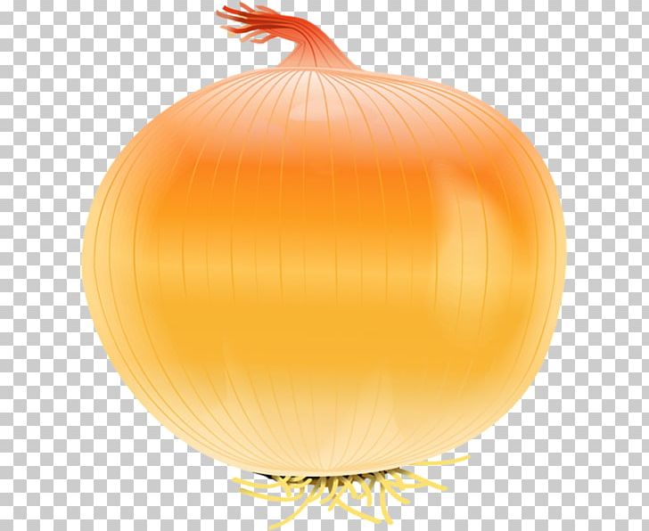 Onion Open Free Content Garlic PNG, Clipart, Calabaza, Cucurbita, Drawing, Food, Fruit Free PNG Download