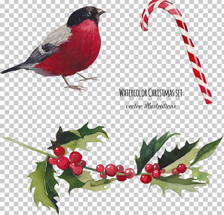 Watercolor Painting Christmas Illustration PNG, Clipart, Animals, Beak, Bird, Bird Cage, Branch Free PNG Download