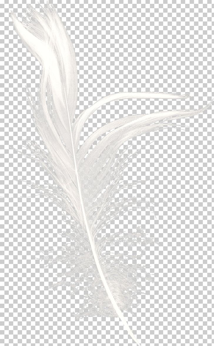 White Feather Black Pattern PNG, Clipart, Animals, Background White, Bird, Black And White, Black White Free PNG Download