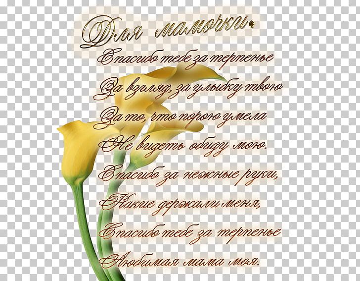 Mother's Day Verse Birthday Holiday Prose PNG, Clipart,  Free PNG Download