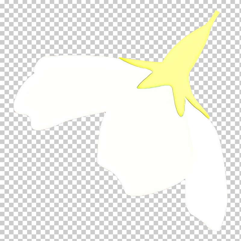 White Yellow Starfish Star Logo PNG, Clipart, Logo, Star, Starfish, White, Yellow Free PNG Download