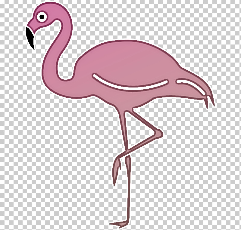 Flamingo PNG, Clipart, Cartoon, Coloring Book, Digital Art, Drawing, Flamingo Free PNG Download