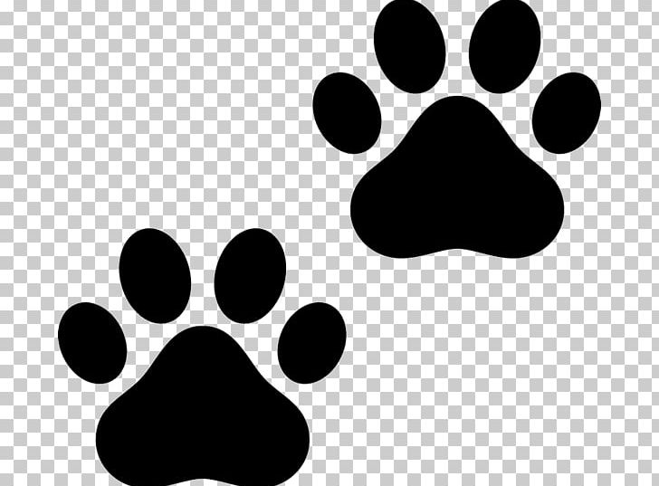 Cat Paw Dog PNG, Clipart, Animal Track, Black, Black And White, Cat, Collage Free PNG Download