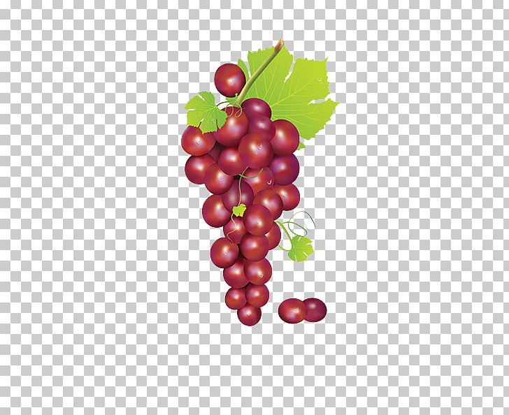 Grape Fruit PNG, Clipart, Bunch, Bunch Of Flowers, Cranberry, Download, Food Free PNG Download