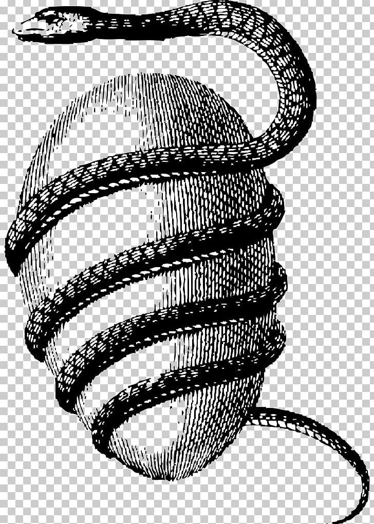 Serpent Occult World Egg Snake Orphic Egg PNG, Clipart, Animals, Black And White, Circle, Divine, Drawing Free PNG Download