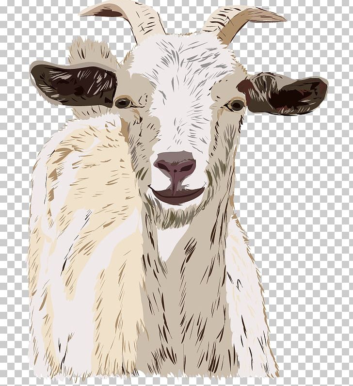 Sheep Goats Drawing Cattle PNG, Clipart, Animals, Cattle, Cattle Like Mammal, Cow Goat Family, Drawing Free PNG Download