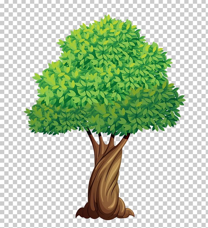 Tree Elm Plant Png, Clipart, Branch, Deciduous, Drawing, Elm, Flowerpot 