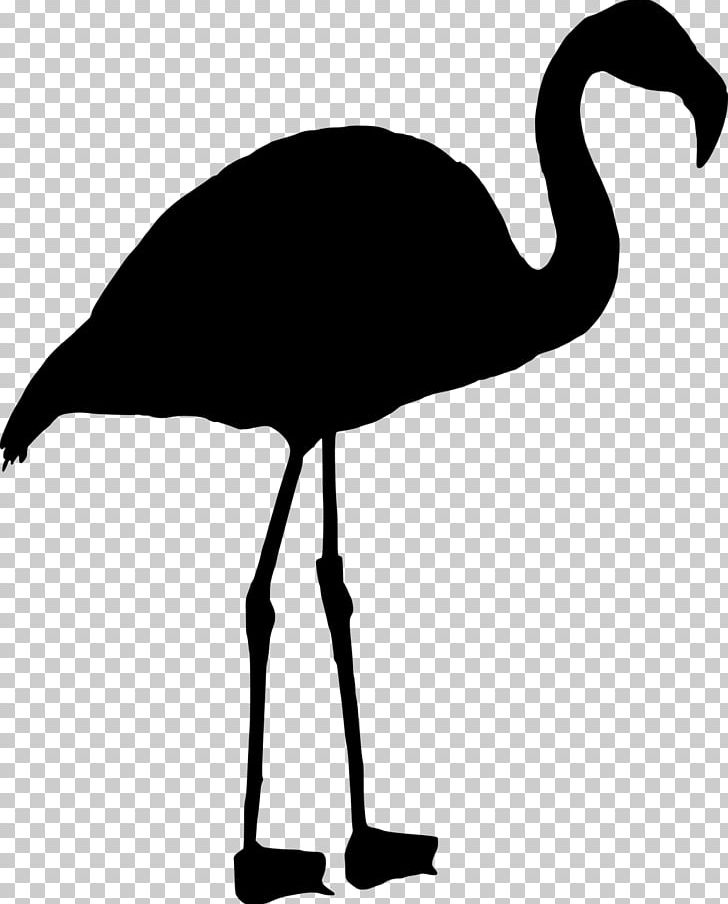 Bird Black And White PNG, Clipart, Animals, Beak, Bird, Black And White, Cockatoo Free PNG Download