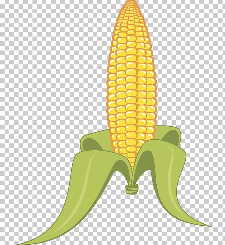 Popcorn Corn On The Cob Candy Corn Maize PNG, Clipart, Banana, Banana Family, Candy Corn, Cartoon, Cereal Free PNG Download