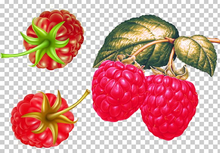 Red Raspberry Strawberry Fruit PNG, Clipart, Auglis, Berry, Blueberry, Food, Frutti Di Bosco Free PNG Download
