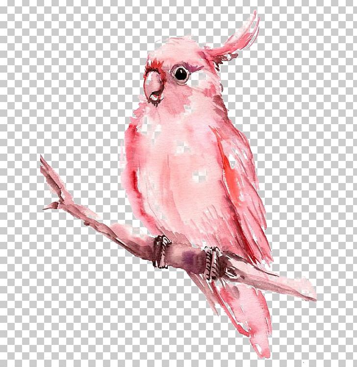 Watercolor Painting AllPosters.com Illustration PNG, Clipart, Allposterscom, Animals, Bird, Branch, Canvas Free PNG Download