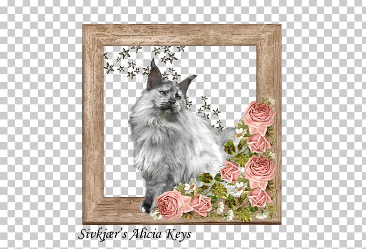 Whiskers Maine Coon Kitten Raccoon PNG, Clipart, Animals, Carnivoran, Cat, Cat Like Mammal, Flower Free PNG Download