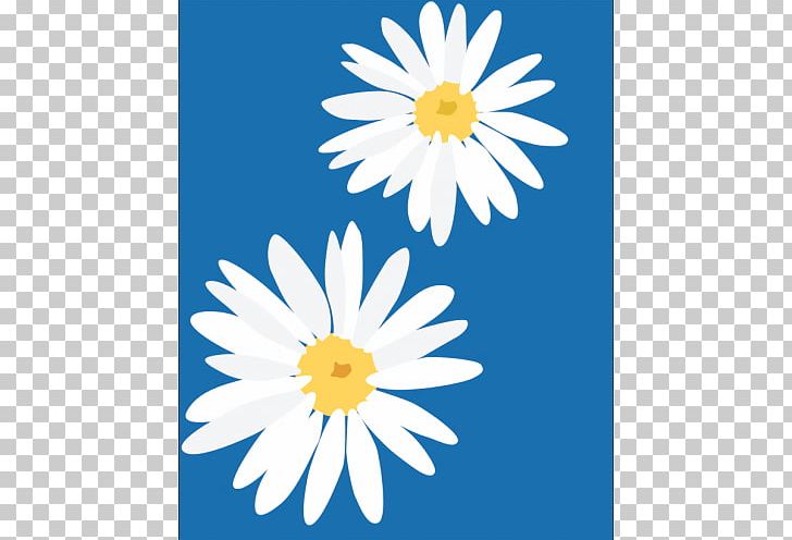 Common Daisy Flower PNG, Clipart, Chamaemelum Nobile, Chamomile, Chrysanths, Common Daisy, Daisy Free PNG Download