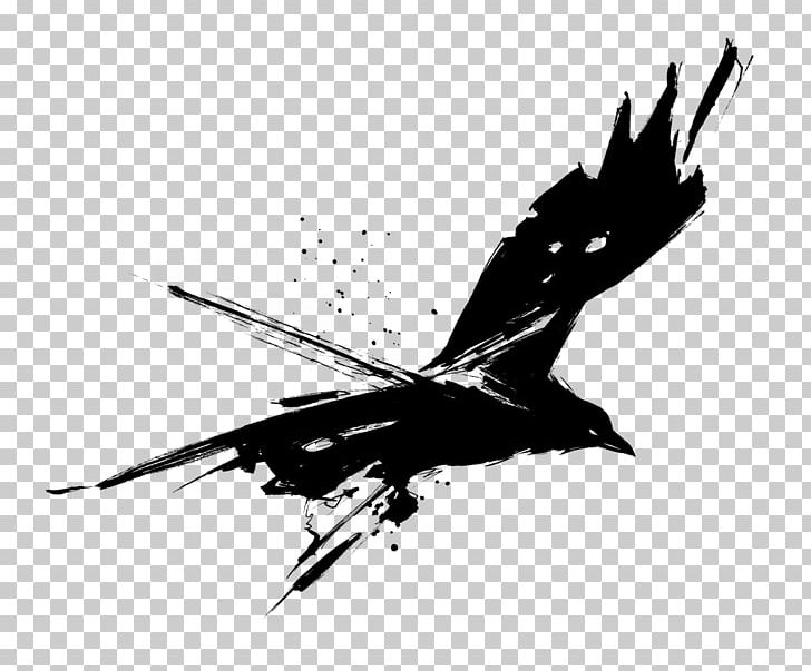 Common Raven T-shirt Drawing PNG, Clipart, Beak, Bee, Bird, Bird Of Prey, Black Free PNG Download