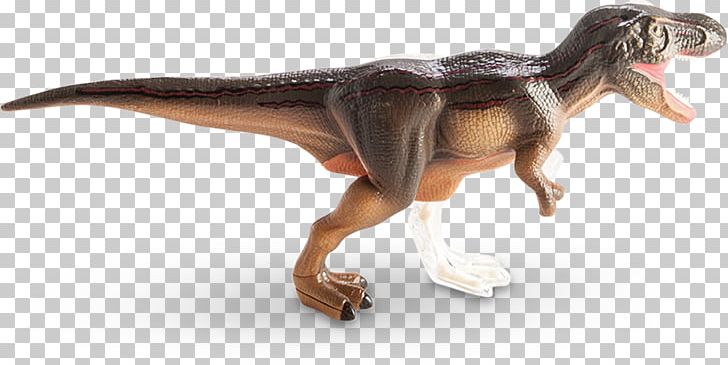 Tyrannosaurus Human Anatomy Dinosaur Sue PNG, Clipart, 4 D, Anatomy, Animal, Animal Figure, Description Free PNG Download