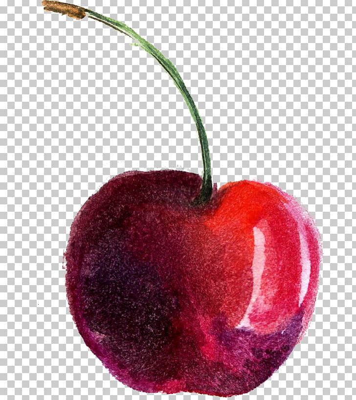 Watercolor Painting Cherry PNG, Clipart, Auglis, Blossoms Cherry, Cartoon, Cherries, Cherry Free PNG Download