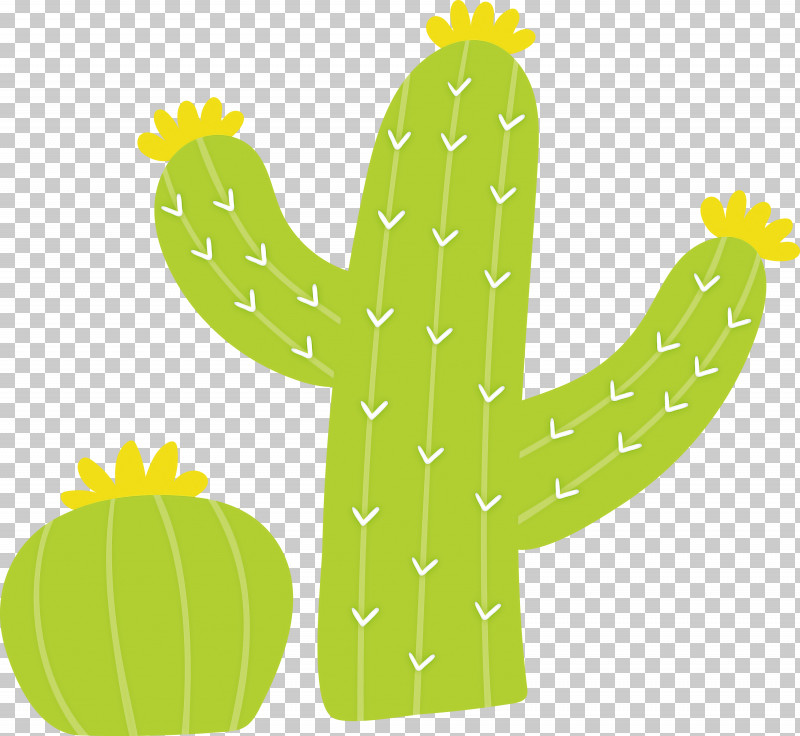 Mexico Elements PNG, Clipart, Barbary Fig, Bunny Ears Cactus, Cactus, Mexico Elements, Plants Free PNG Download