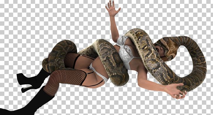 Boa Constrictor Snake Green Anaconda Animaatio Drawing PNG, Clipart, Anaconda, Animaatio, Animal, Animals, Art Free PNG Download